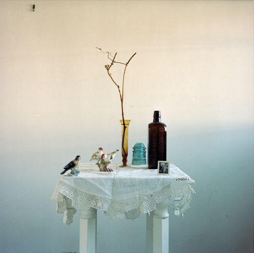  : New Work : LISA VOSPER : PHOTOGRAPHER : NY